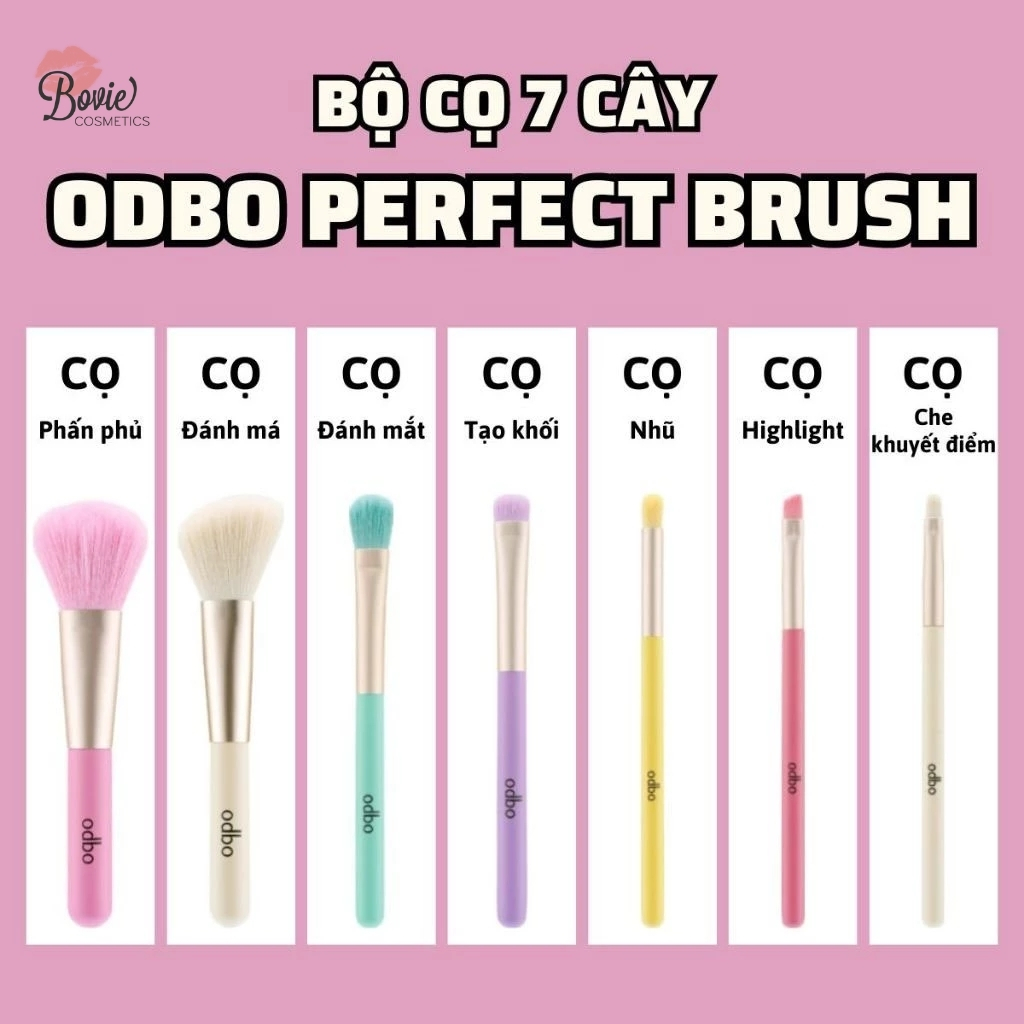 OD8-193 Bộ 7 Cọ Trang Điểm Odbo Perfect Brush Beauty Too