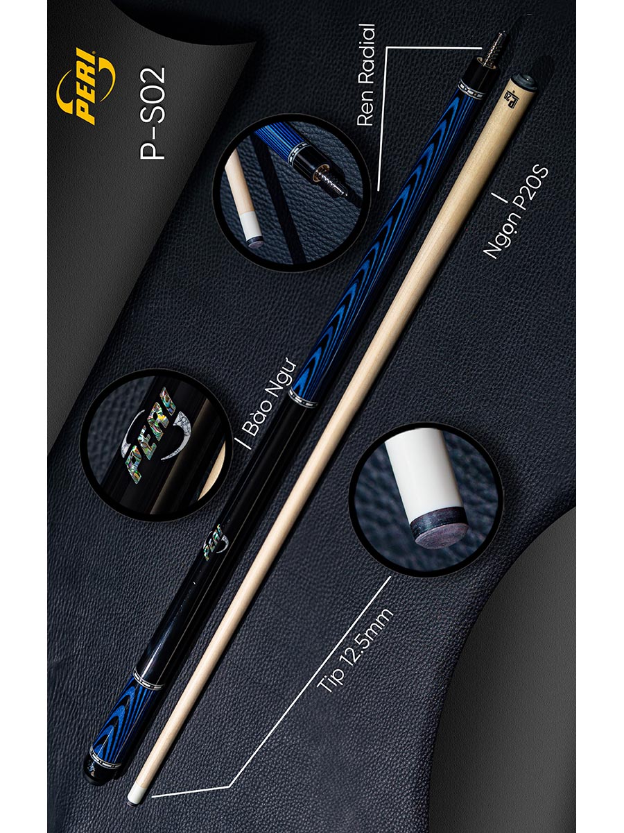 P-S02 + Extension
