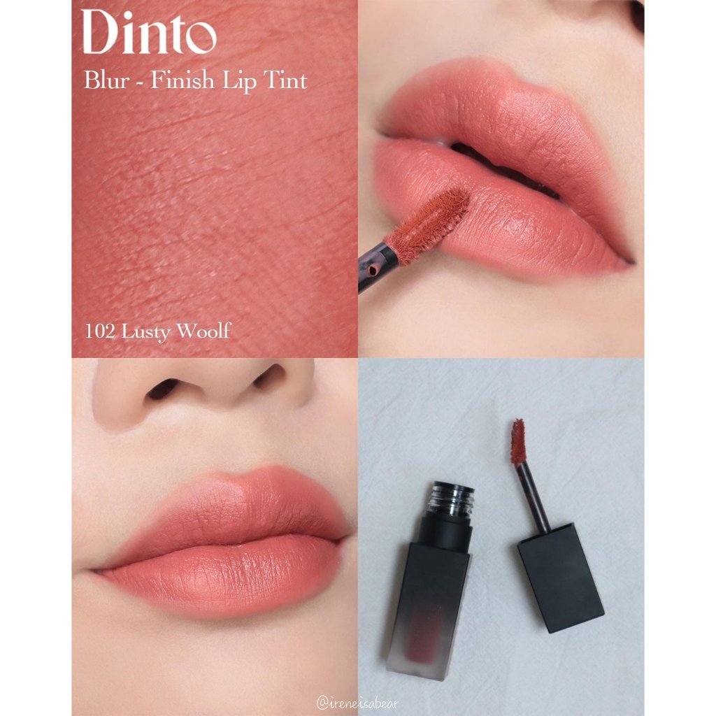 Son Kem Lì DINTO Thuần Chay Blur Finish Lip Tint 4 màu Bền Màu Lâu Trôi