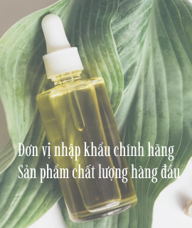 Studio Y Sài Gòn
