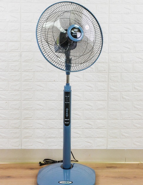 Những mẫu quạt cây bán chạy nhất 2024