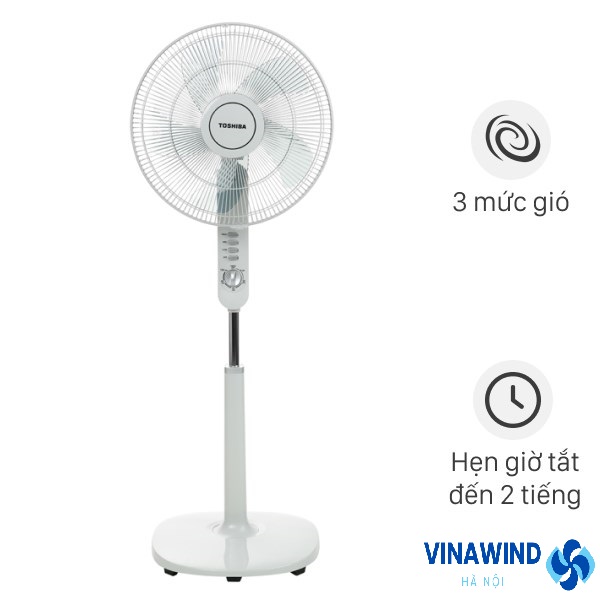 Mua quạt cây giá rẻ chính hãng ở tại Thanh Xuân