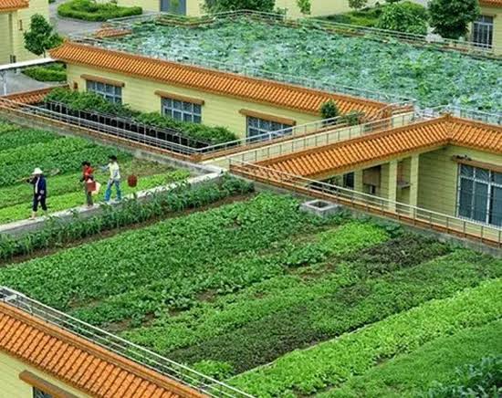 Bạt chống thấm để trồng cây HDPE