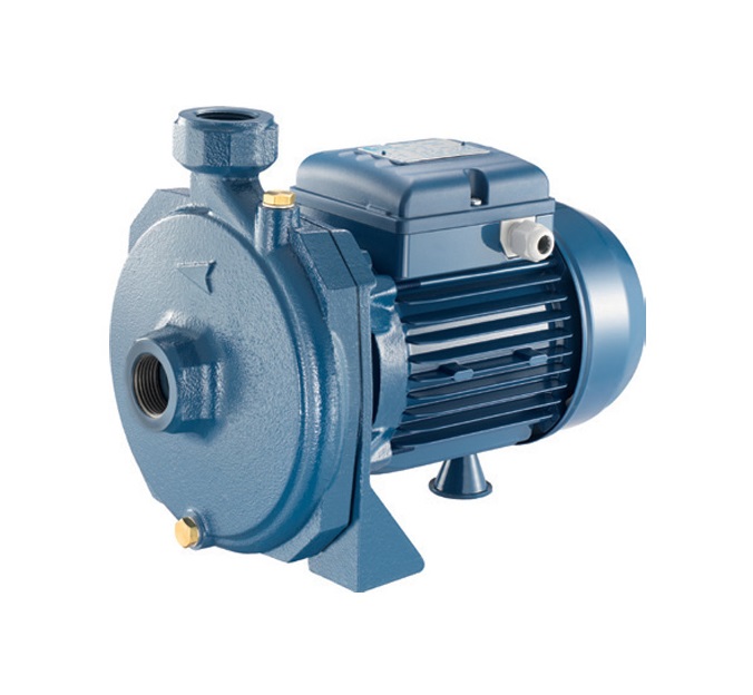 MÁY BƠM CÁNH ĐĨA DETAX CMA 100 (750W)