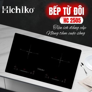 bếp từ đôi