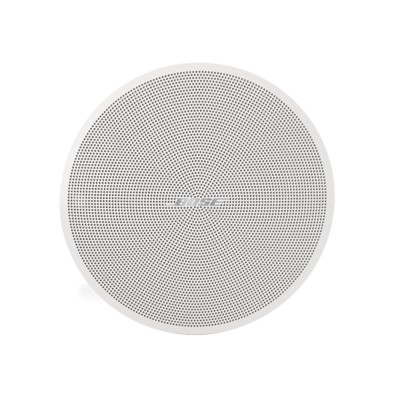 Bose DesignMax DM2C-LP