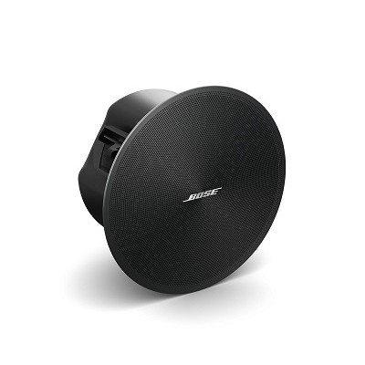 Bose DesignMax DM3C