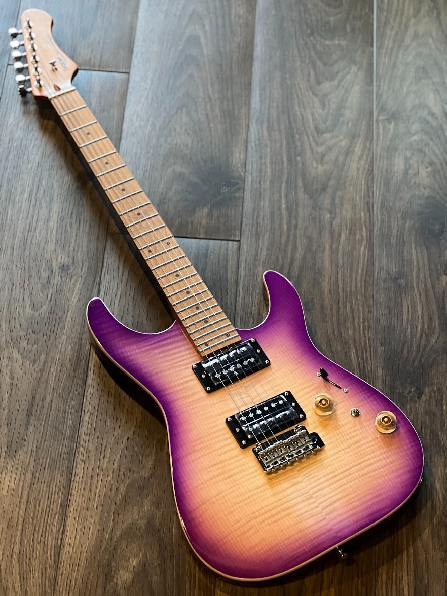 Guitar Điện Sqoe SEIB650