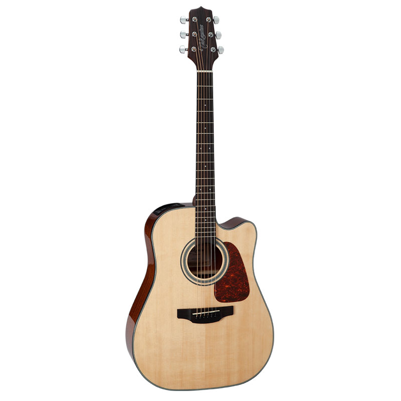 Takamine GD15CE