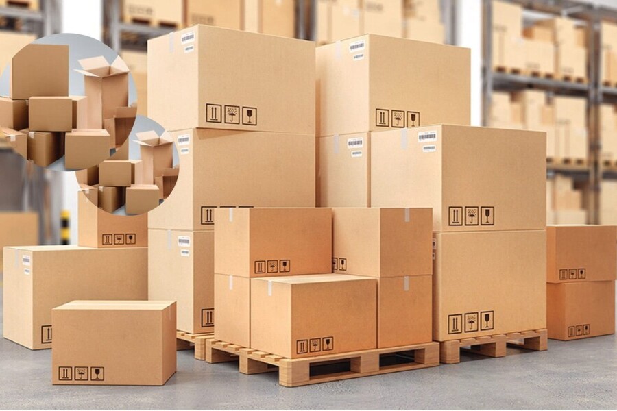 Tự Động Hóa Quy Trình Sản Xuất Hộp Carton