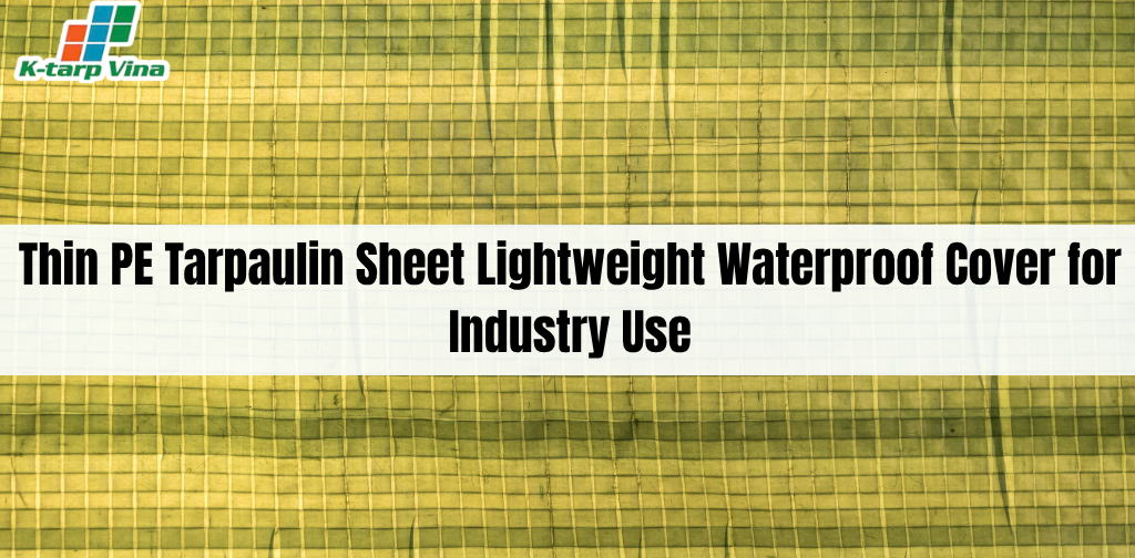 Thin PE Tarpaulin Sheet Lightweight Waterproof Cover for Industry Use