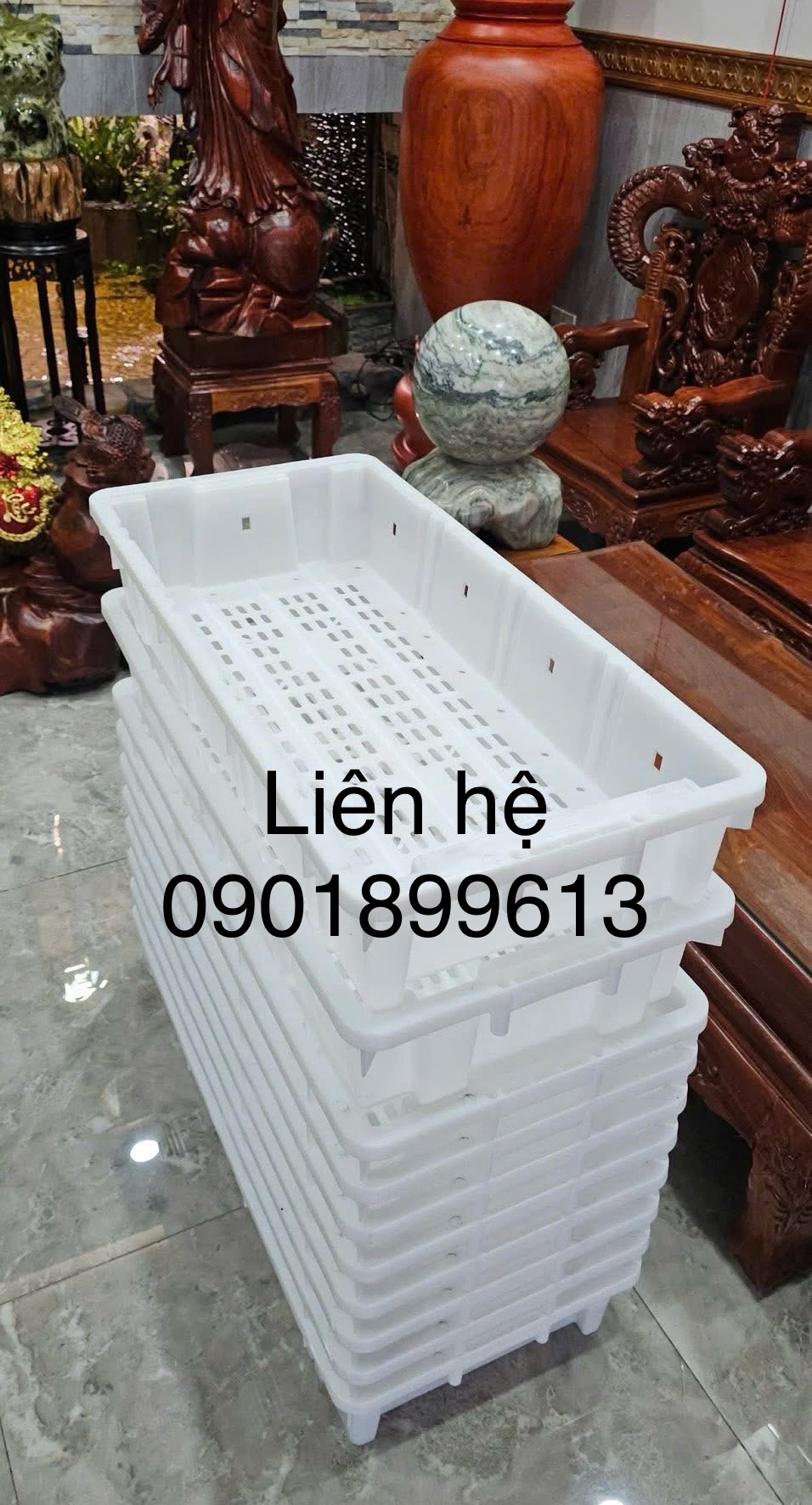 Mua khay cá thu ở đâu