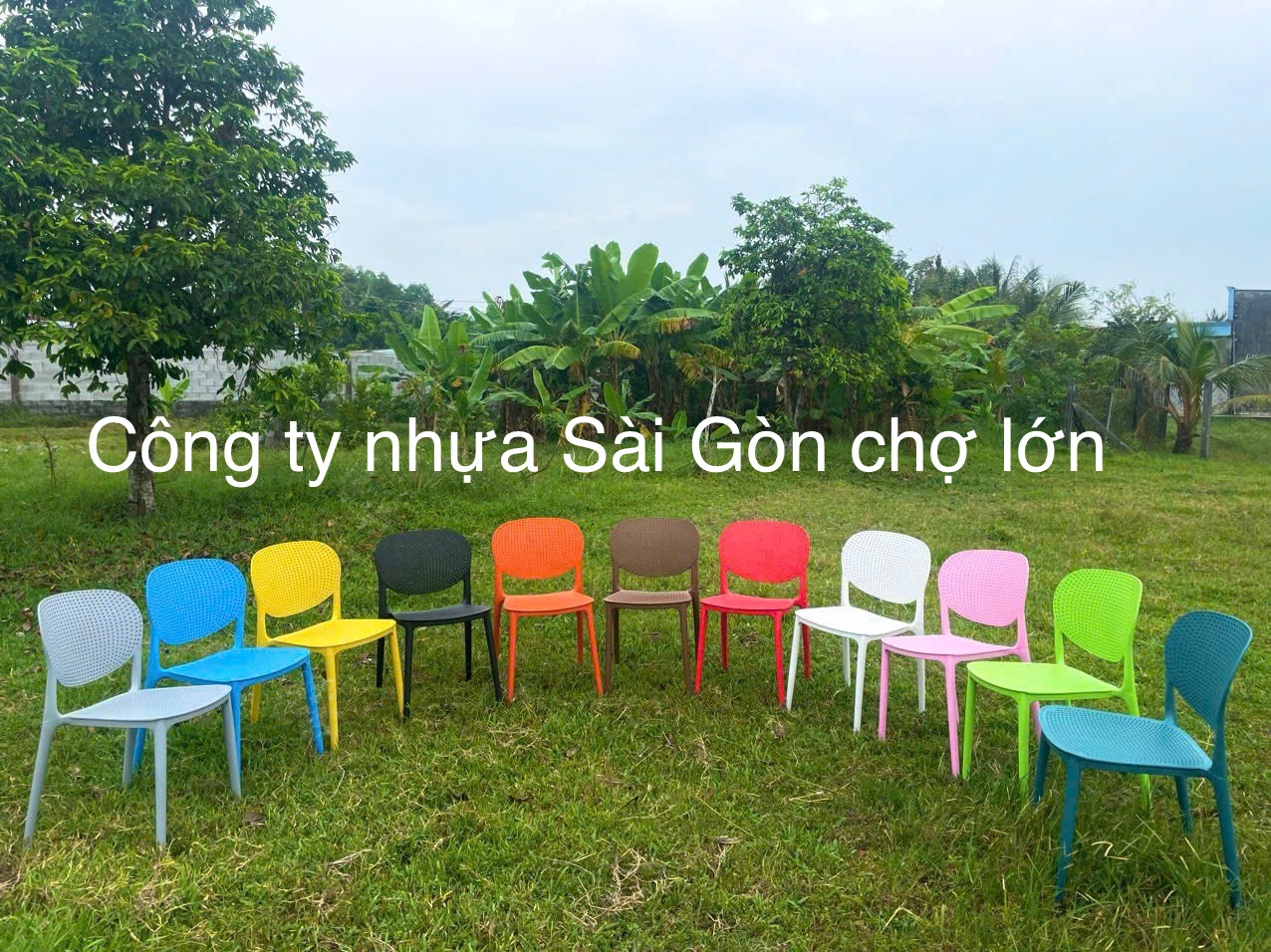 Ghế nhựa đúc caffe nhập khẩu Hol sankyo cao cấp loại 1