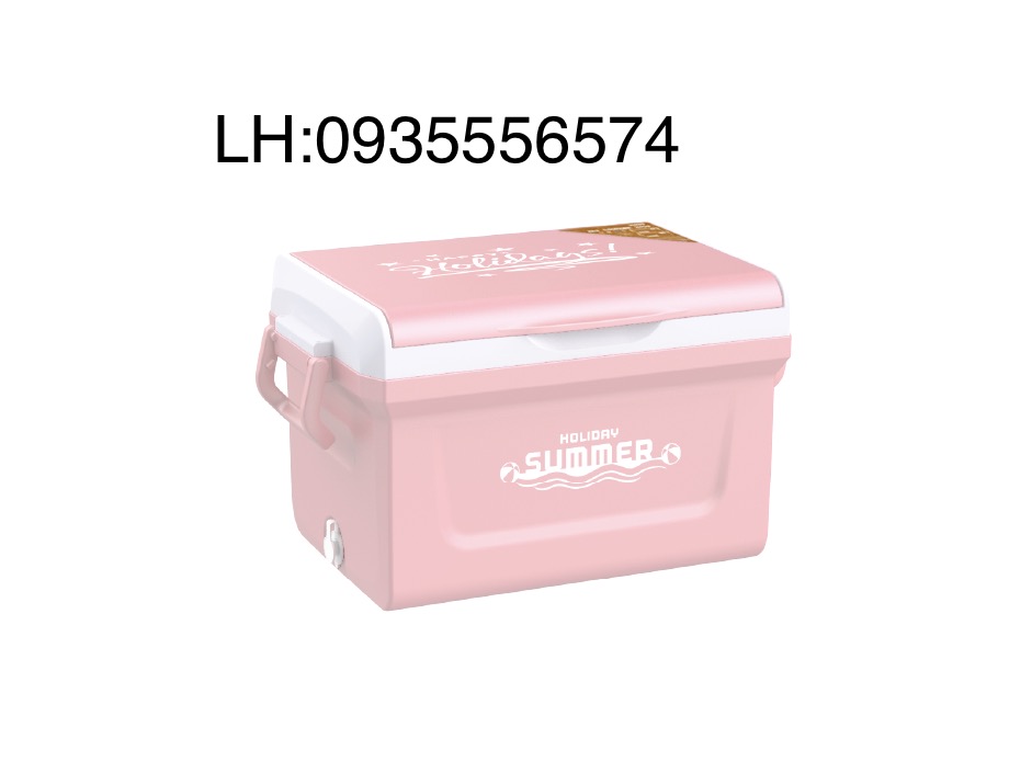 Thùng đá ICY 35 lít Duy Tân