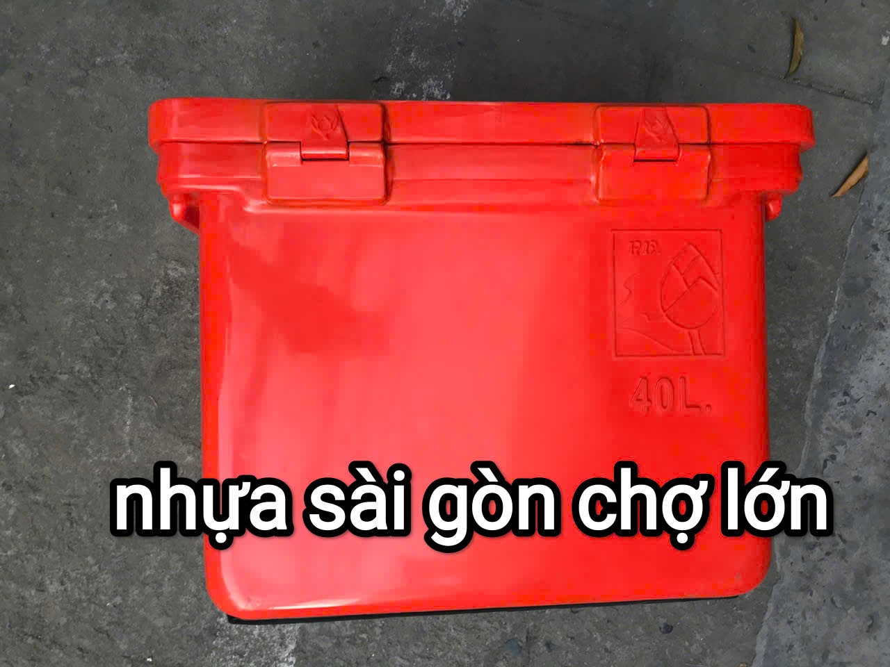 [Nhập khẩu chính ngạch] Thùng đá Thái Lan 40 lít hoa sen