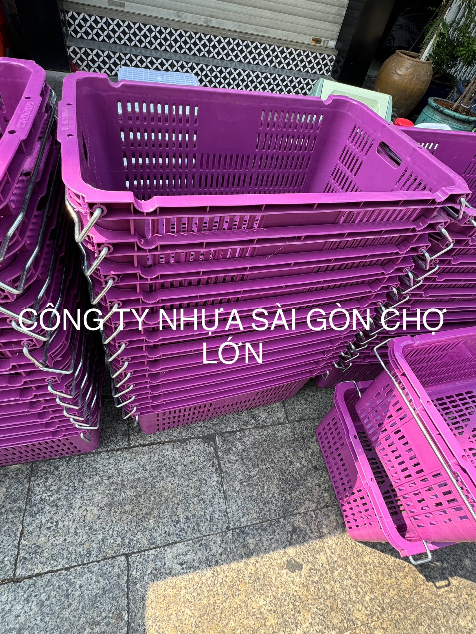 Sóng quai sắt màu tím đựng thanh long