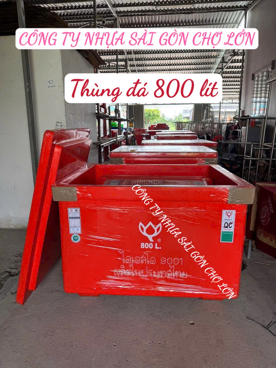 Thùng đá Thái Lan 800 lít hoa sen có chân nhập khẩu