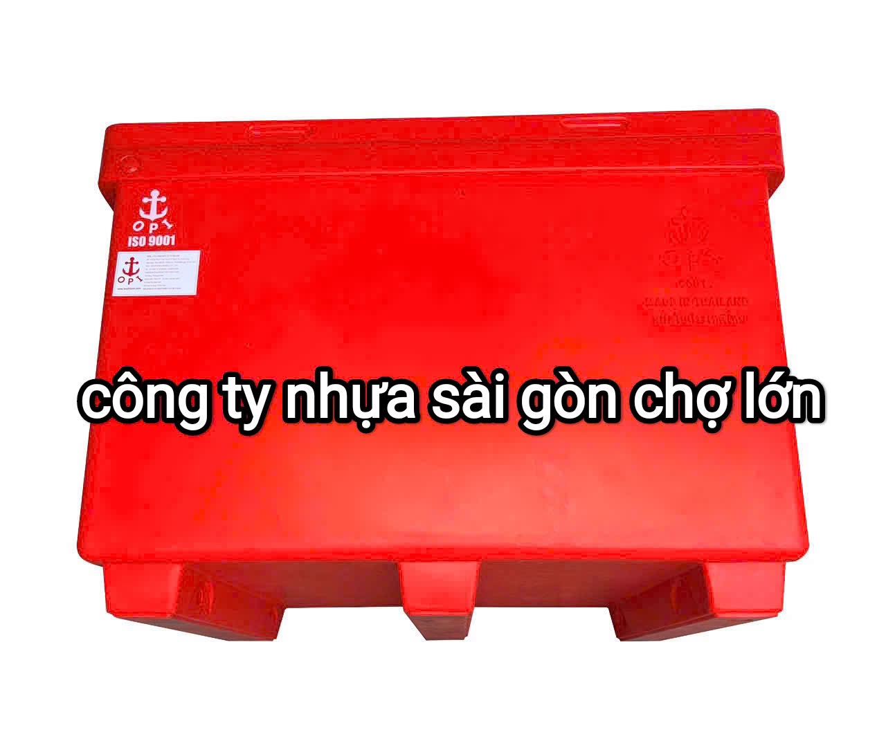 Thùng đá thái Lan 1000 lít mũi neo nhập khẩu chính ngạch