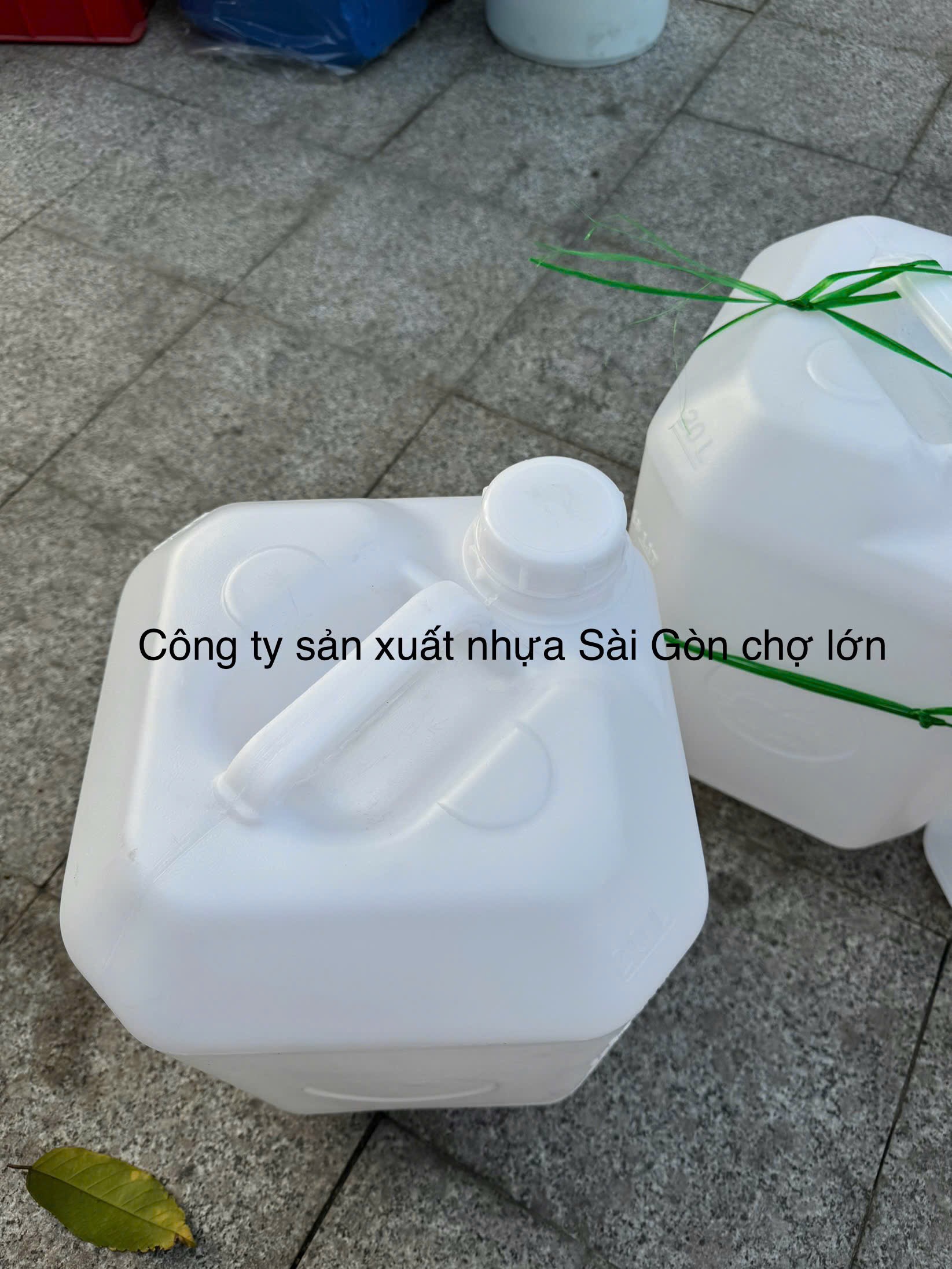 Can vuông 20 lít 3 cá màu trắng loại 1 kg
