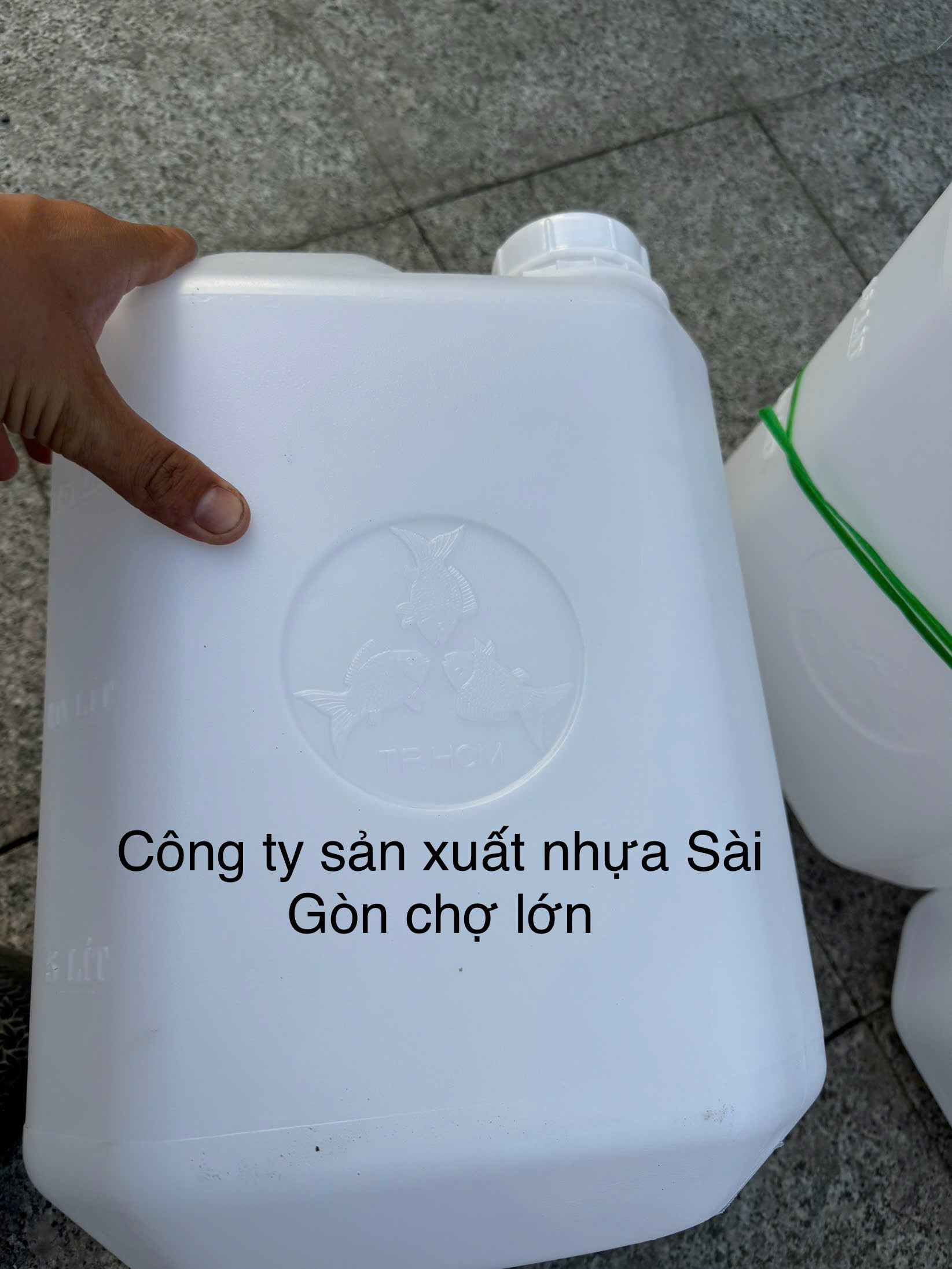 Can vuông 20 lít 3 cá màu trắng loại 1 kg