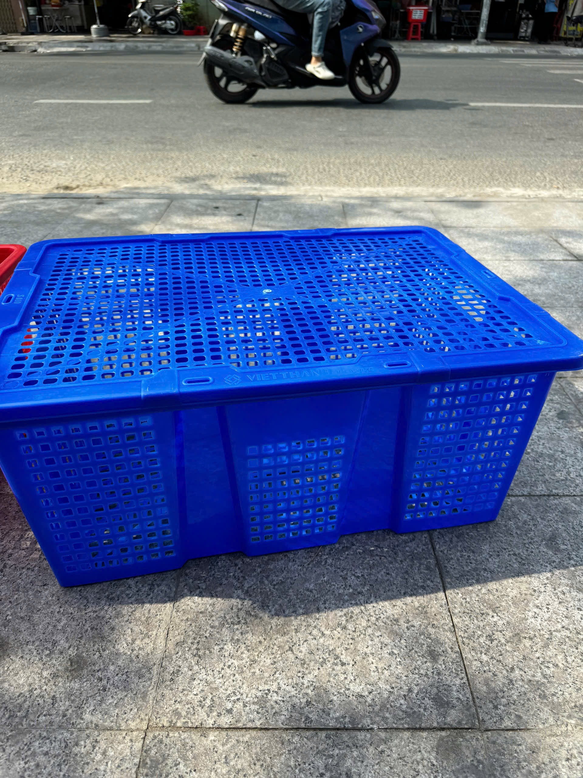 Sóng trái cây có nắp cao cấp