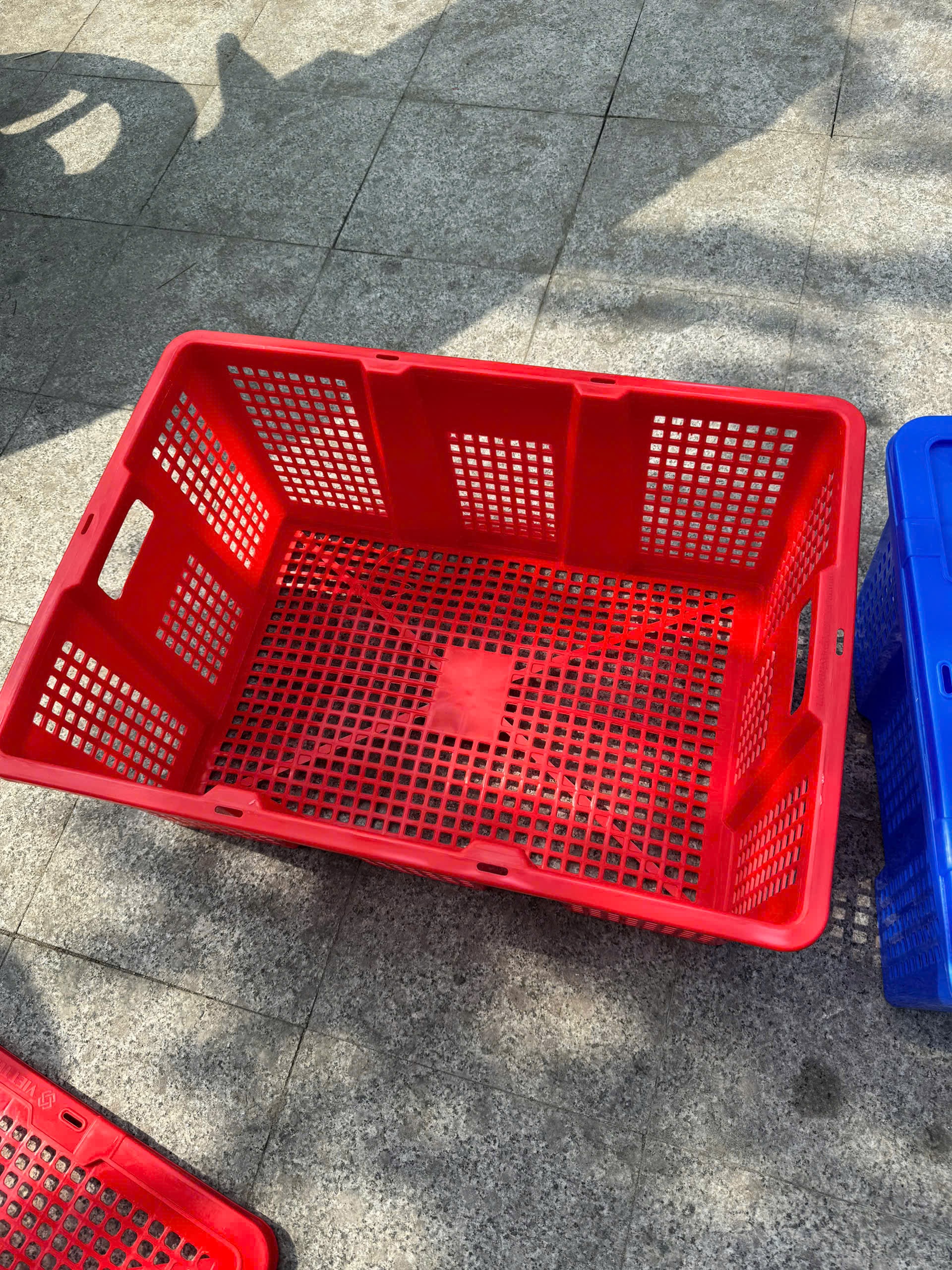 Sóng trái cây có nắp cao cấp