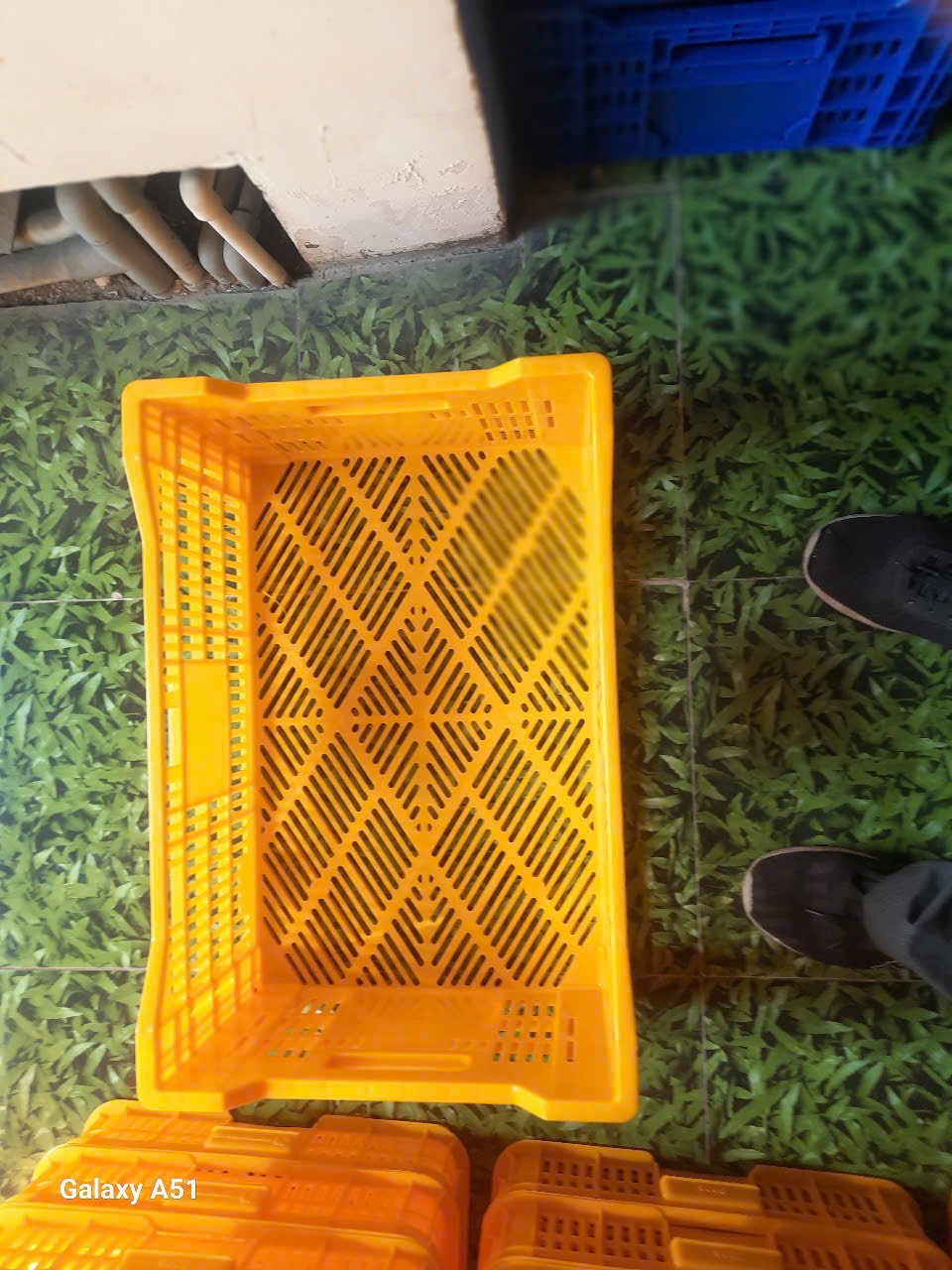 Sóng và chua cao cấp giá rẻ