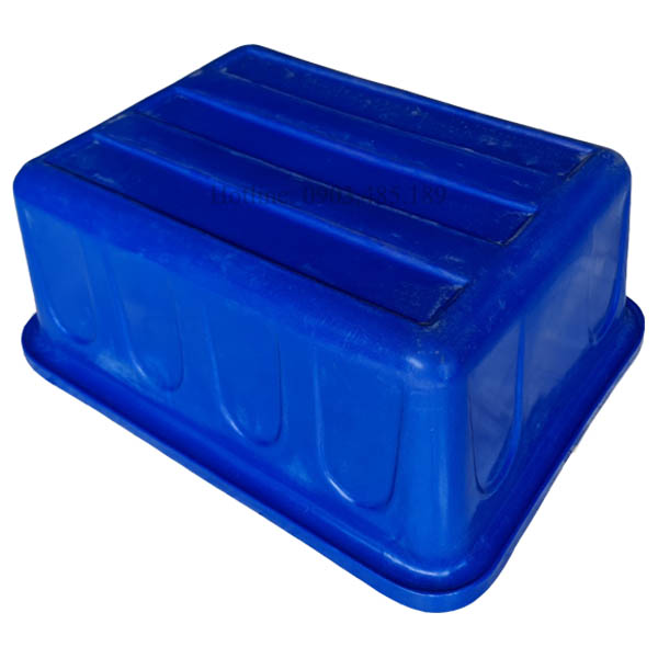 Thùng chữ Nhật nuôi cá 200 lít 1 lớp và 2 lớp