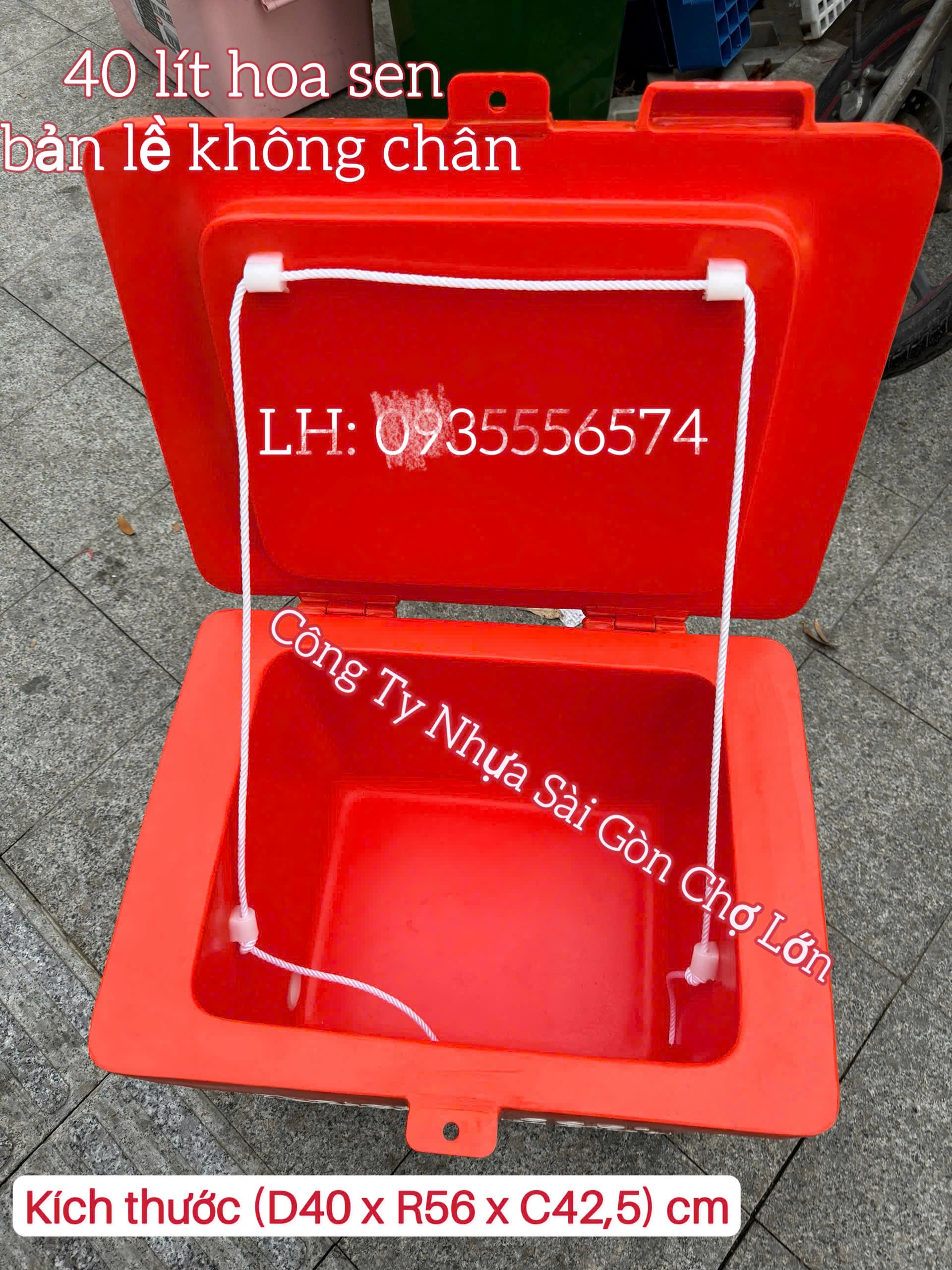 Thùng đá Thái Lan hoa sen 40 lít bản lề không chân (kích thước: 56*40*42,5 cm) 🪷