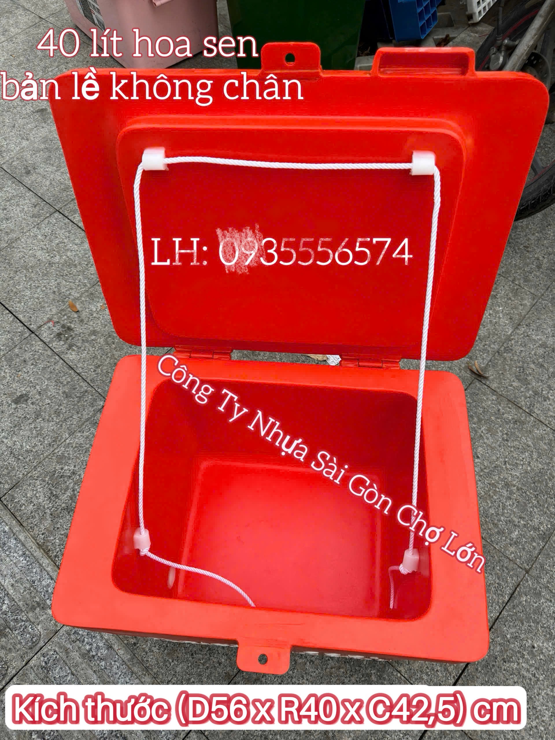 Thùng đá Thái Lan hoa sen 40 lít bản lề không chân (kích thước: 56*40*42,5 cm) 🪷