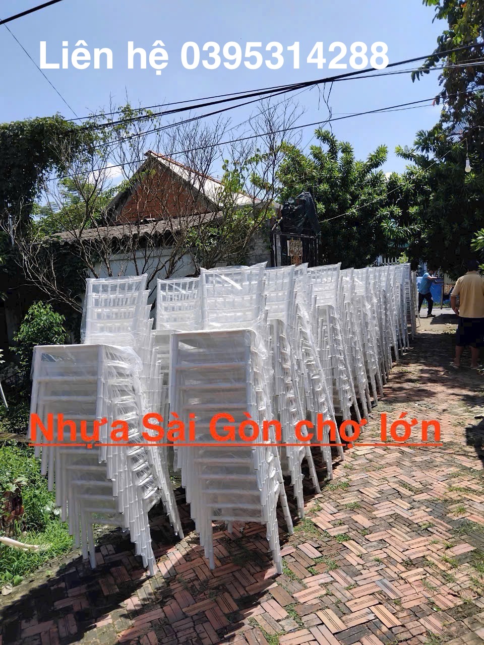 Ghế nhựa trúc nhà hàng cao cấp nhập khẩu