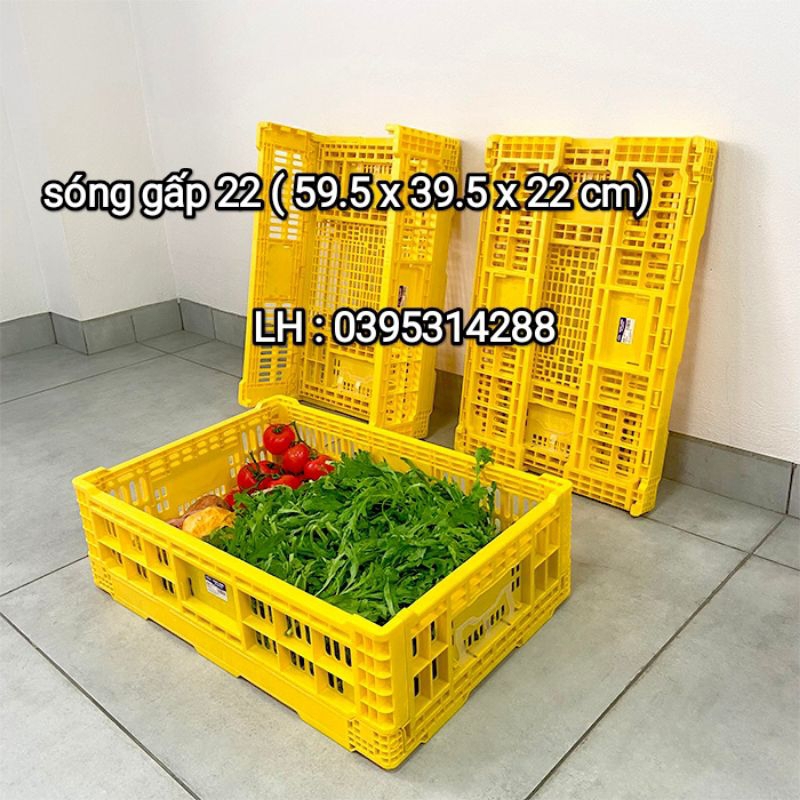 sóng xếp 22 và sóng gấp 18 song long