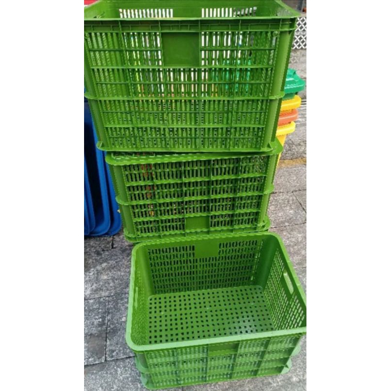 Combo 2 sóng hở 3T9 màu dương