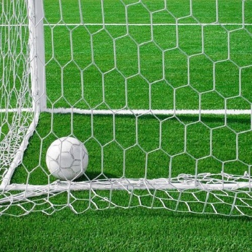 Lưới Khung Thành Bóng Đá Sân 5 Vifasport 233120 | Sợi TPE 3.1mm Cao Cấp