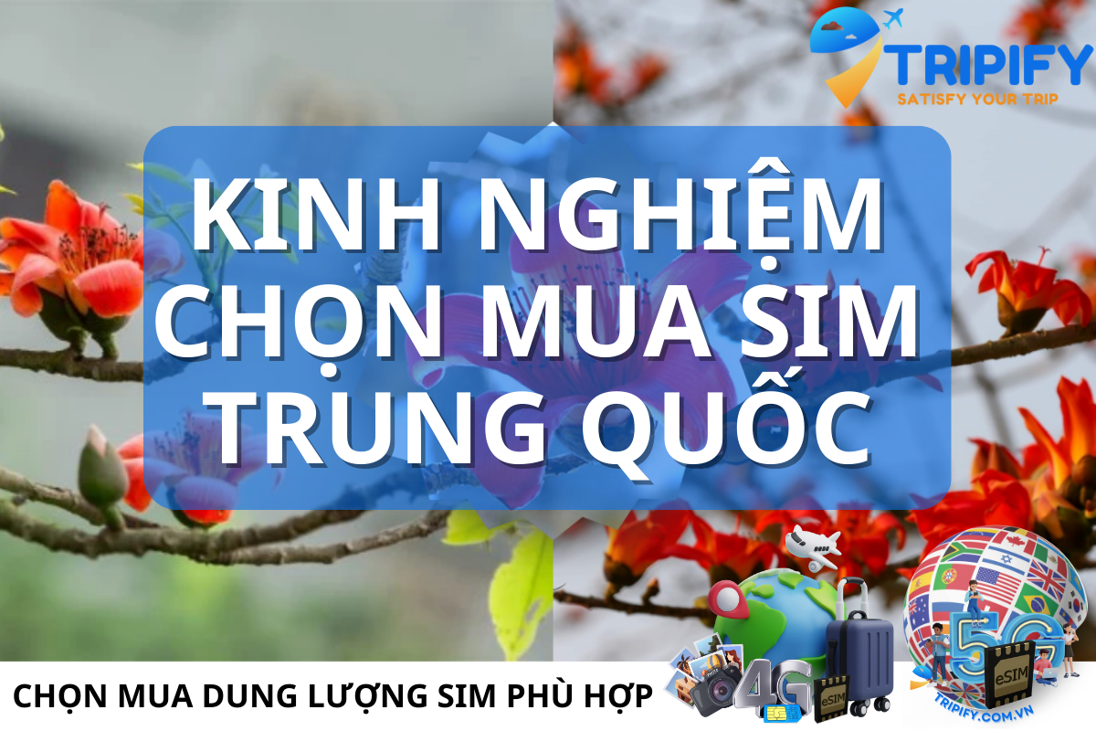 SIM DU LỊCH TRUNG QUỐC - KINH NGHIỆM CHỌN MUA SIM PHÙ HỢP