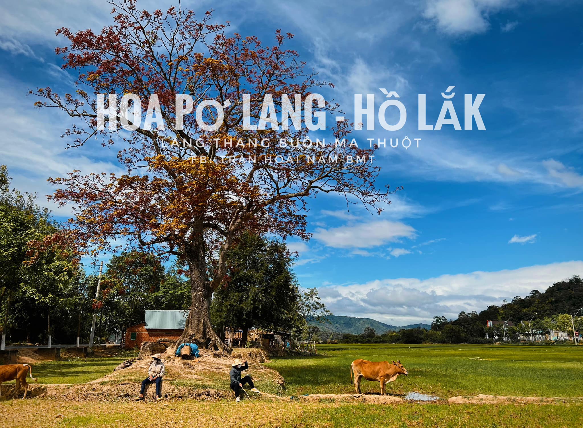 HÀ NỘI - BUÔN MÊ THUỘT - ĐẮK NÔNG - HỒ TÀ ĐÙNG 4 NGÀY 3 ĐÊM