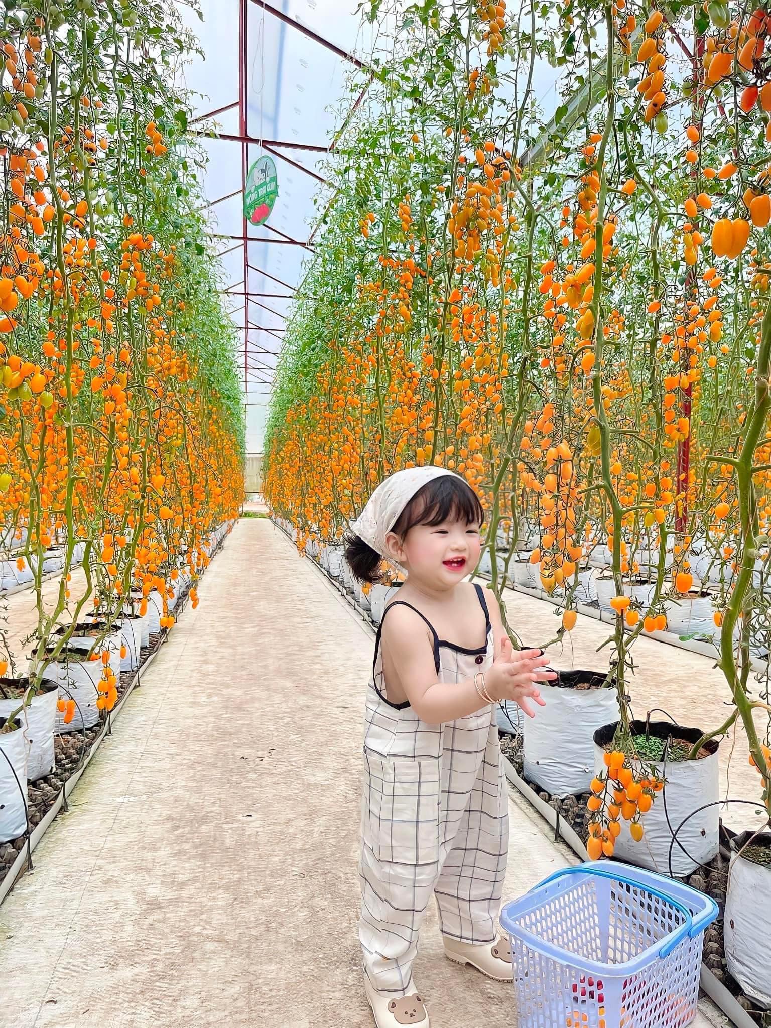 HÀ NỘI - ĐÀ LẠT - NHA TRANG 5 NGÀY 4 ĐÊM