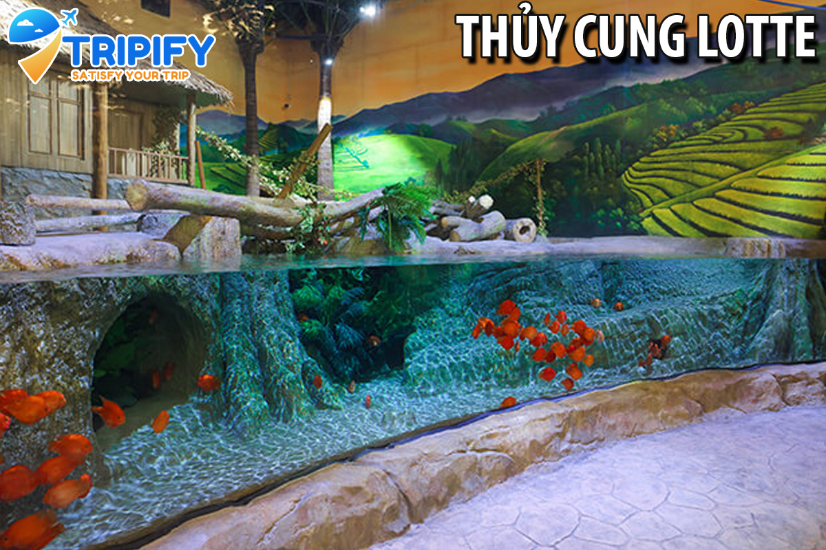 Vé Thủy Cung Lotte Hà Nội - Trong Tuần | Ưu Đãi Giá Vé Đến 30%