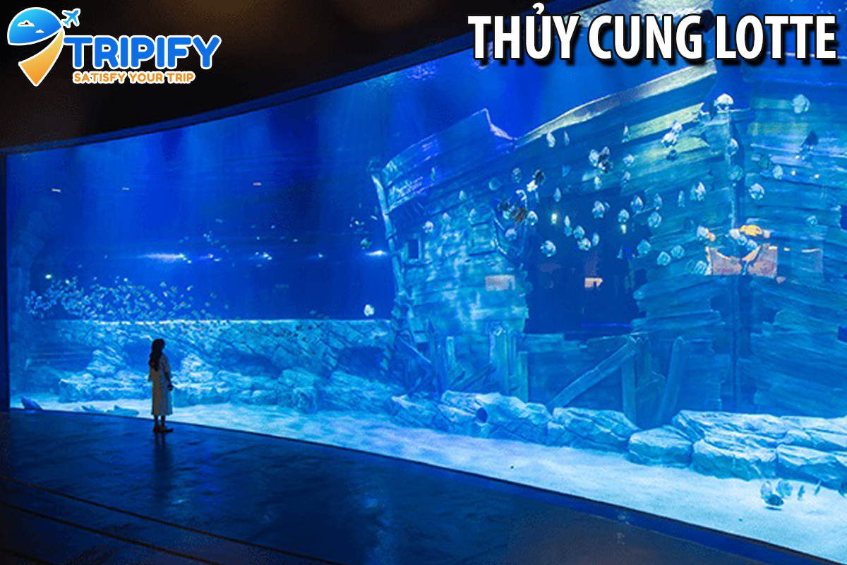 Vé Thủy Cung Lotte World Aquarium - Trong Tuần | Khách Nước Ngoài