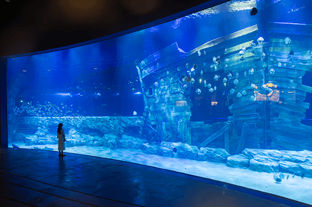 Vé Thủy Cung Lotte World Aquarium - Trong Tuần | Khách Nước Ngoài