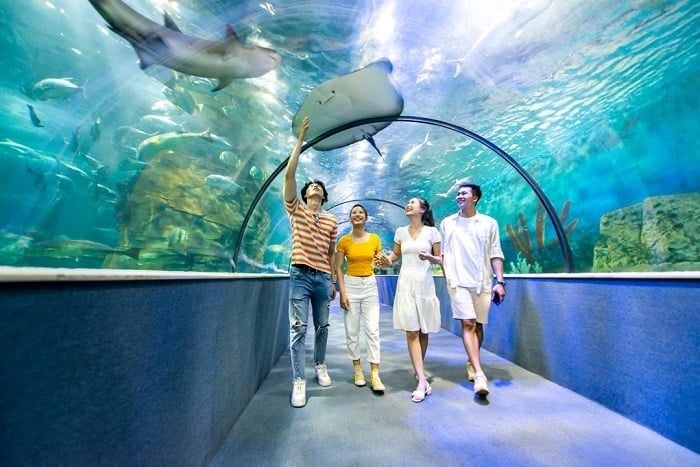 Thủy Cung Times City - Giá Vé Trong Tuần [Thứ 2 - Thứ 6]
