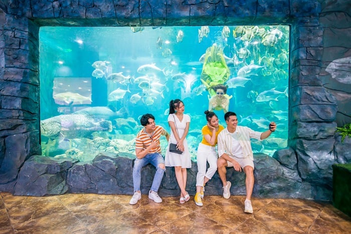 Thủy Cung Times City - Giá Vé Trong Tuần [Thứ 2 - Thứ 6]