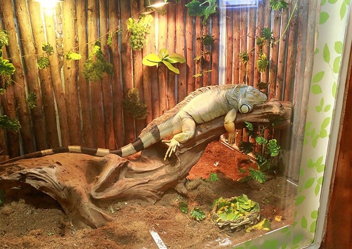 Thủy Cung Times City - Giá Vé Cuối Tuần [Thứ 7, Chủ Nhật, Lễ]