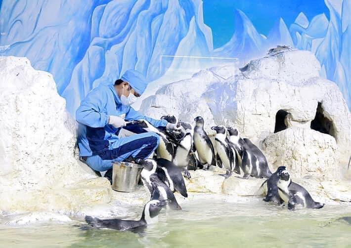 Thủy Cung Times City - Giá Vé Cuối Tuần [Thứ 7, Chủ Nhật, Lễ]