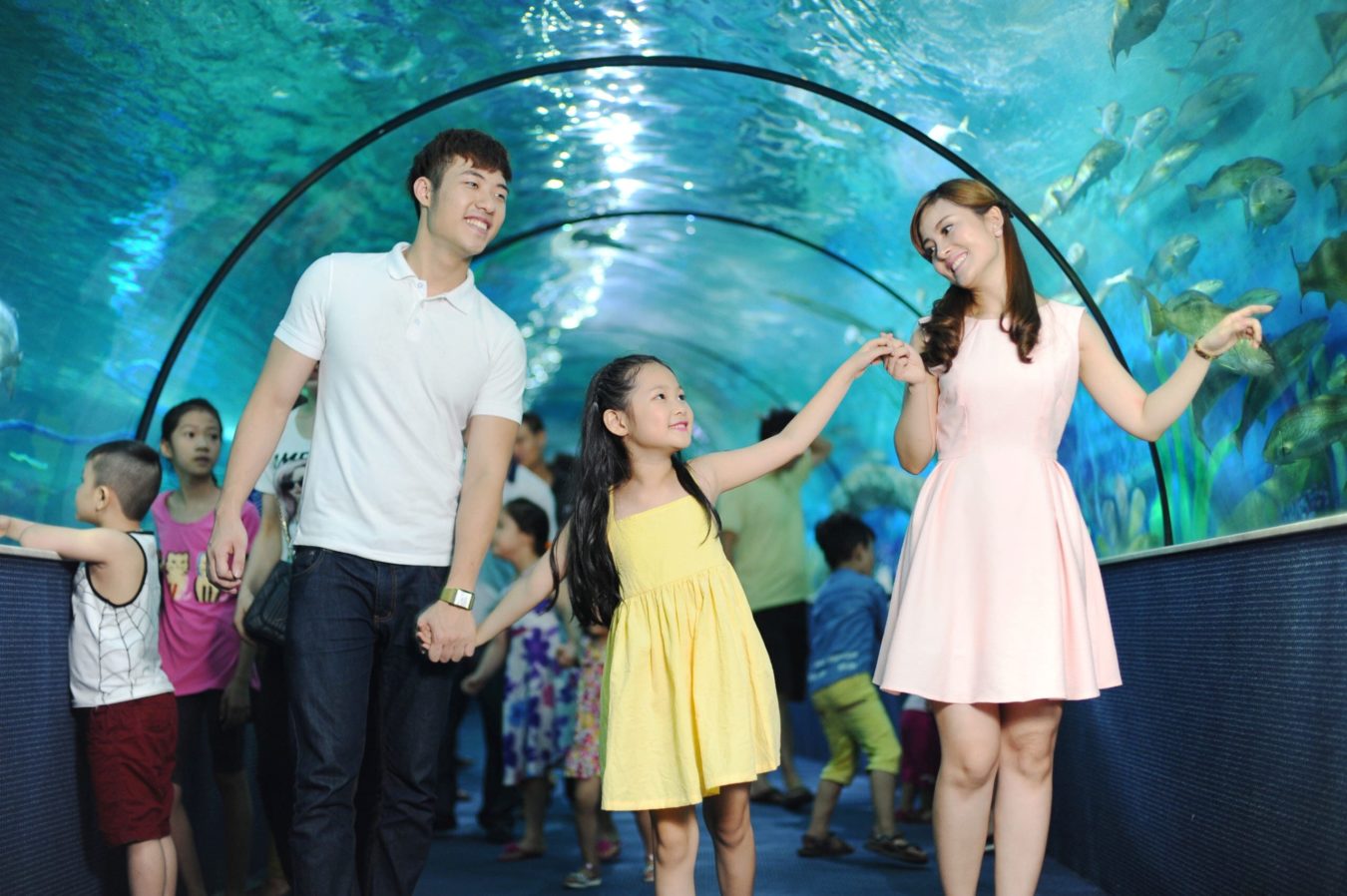 Thủy Cung Times City - Giá Vé Cuối Tuần [Thứ 7, Chủ Nhật, Lễ]