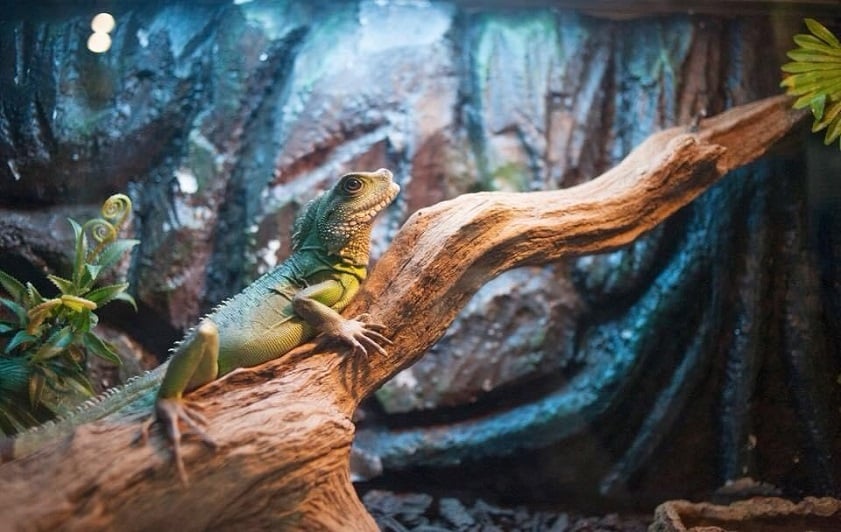 Thủy Cung Times City - Giá Vé Cuối Tuần [Thứ 7, Chủ Nhật, Lễ]