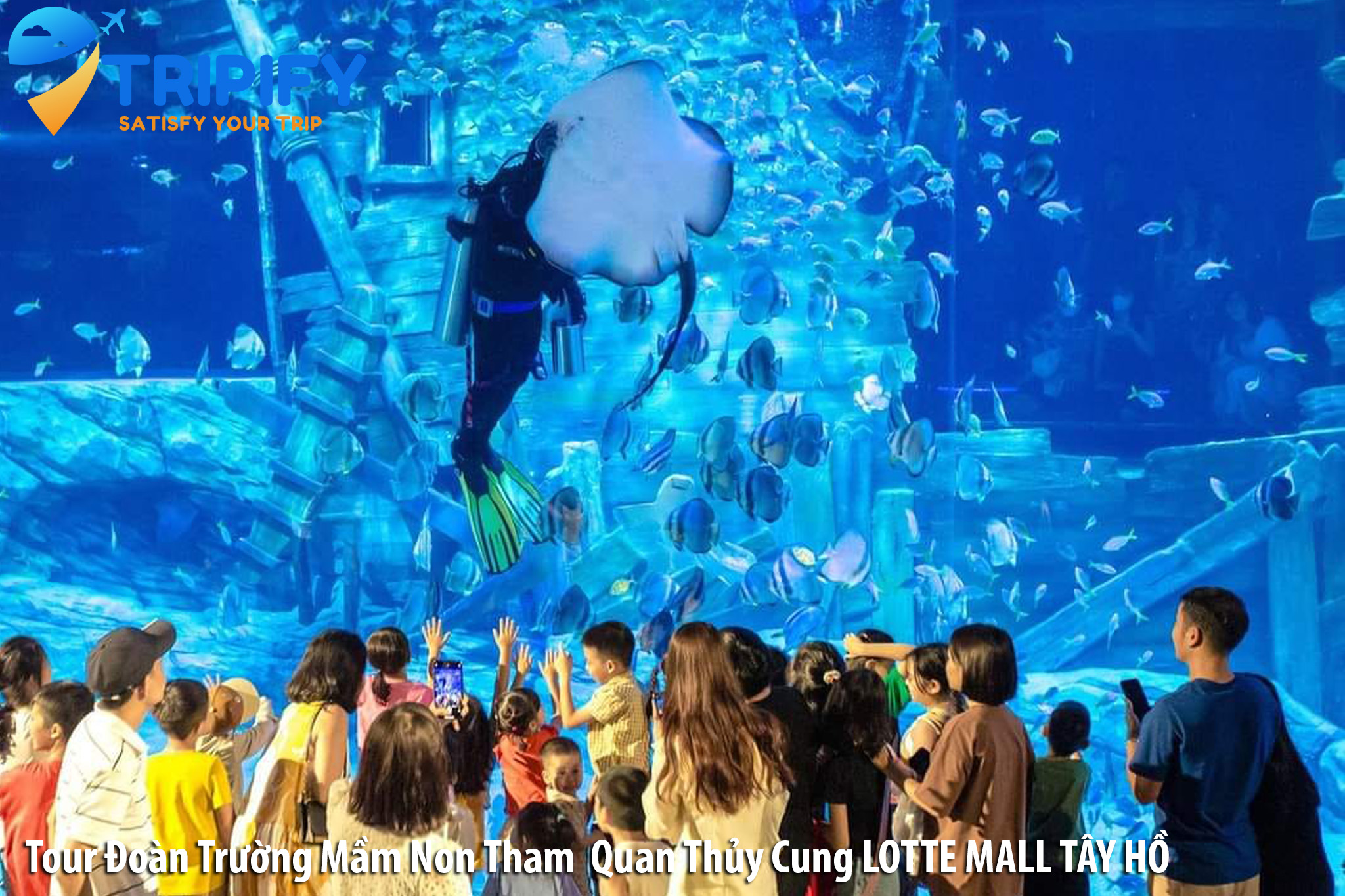 Đặt Tour Đoàn Trường Tham Quan Thủy Cung Lotte Mall Tây Hồ