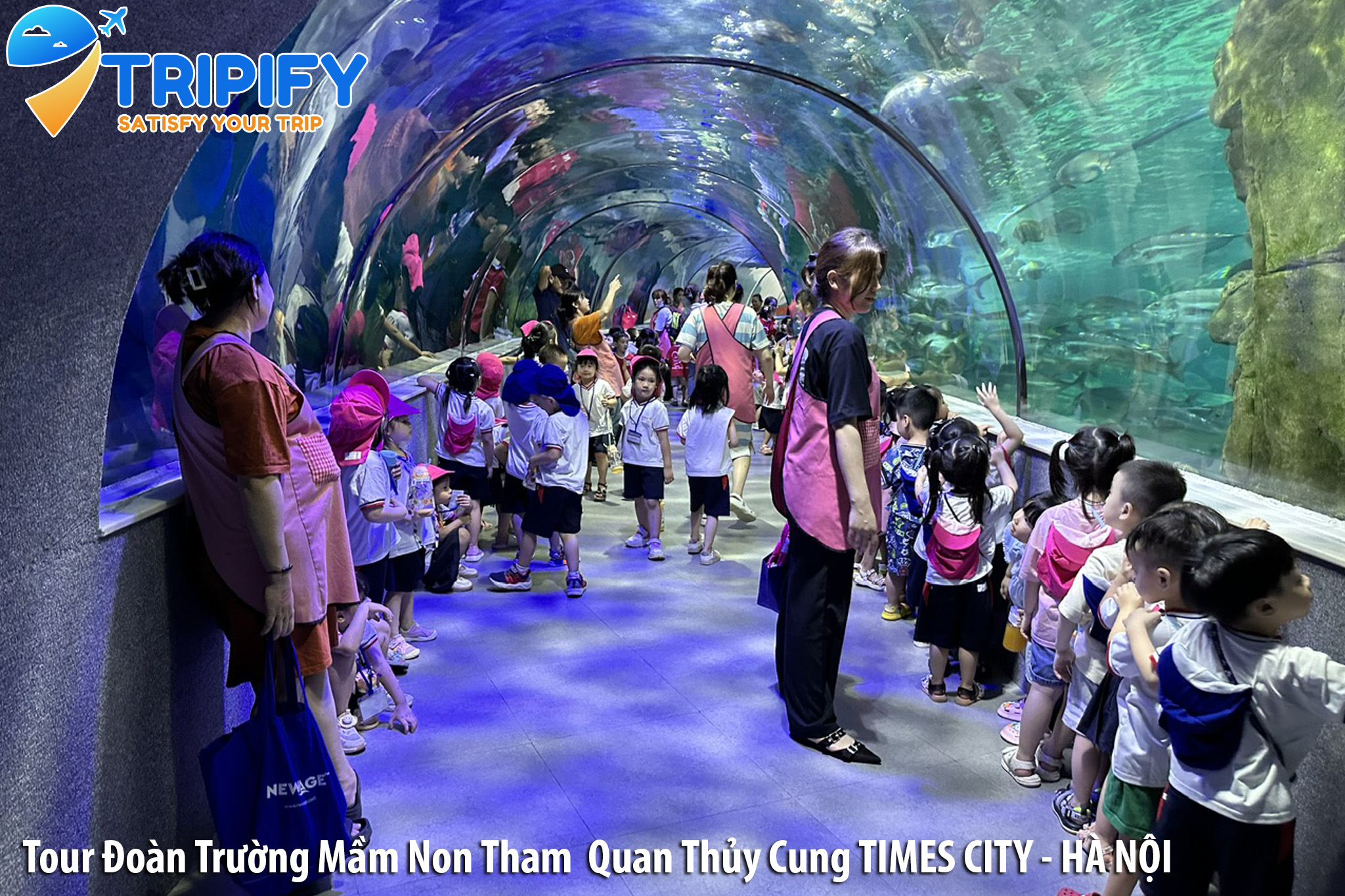 Đặt Tour Đoàn Trường Tham Quan Thủy Cung Times City - Vincom Mega Mall