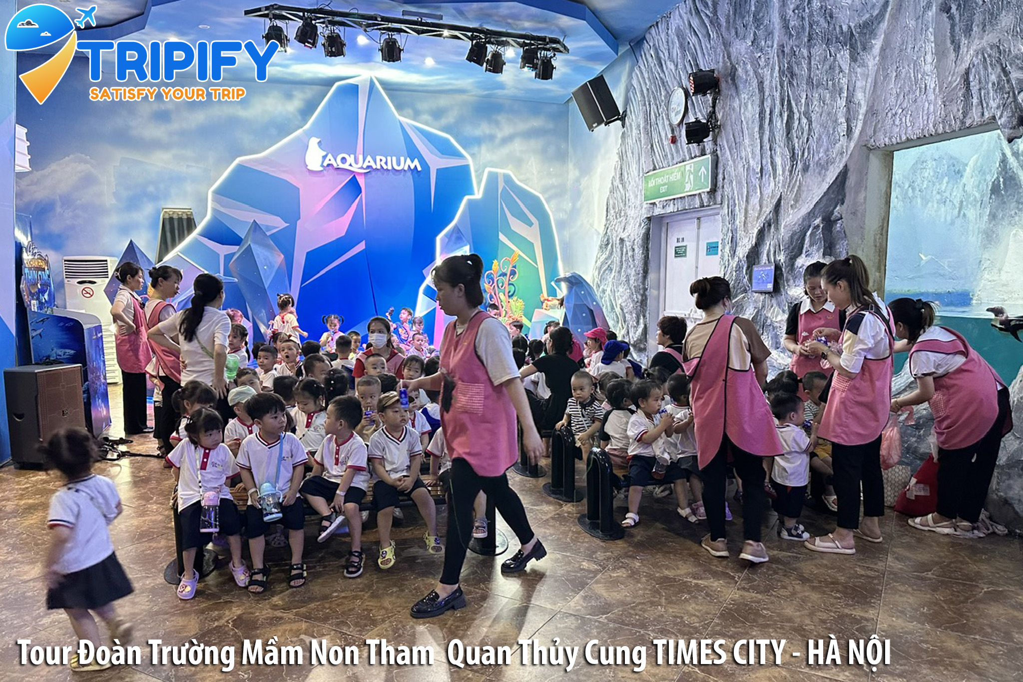 Đặt Tour Đoàn Trường Tham Quan Thủy Cung Times City - Vincom Mega Mall