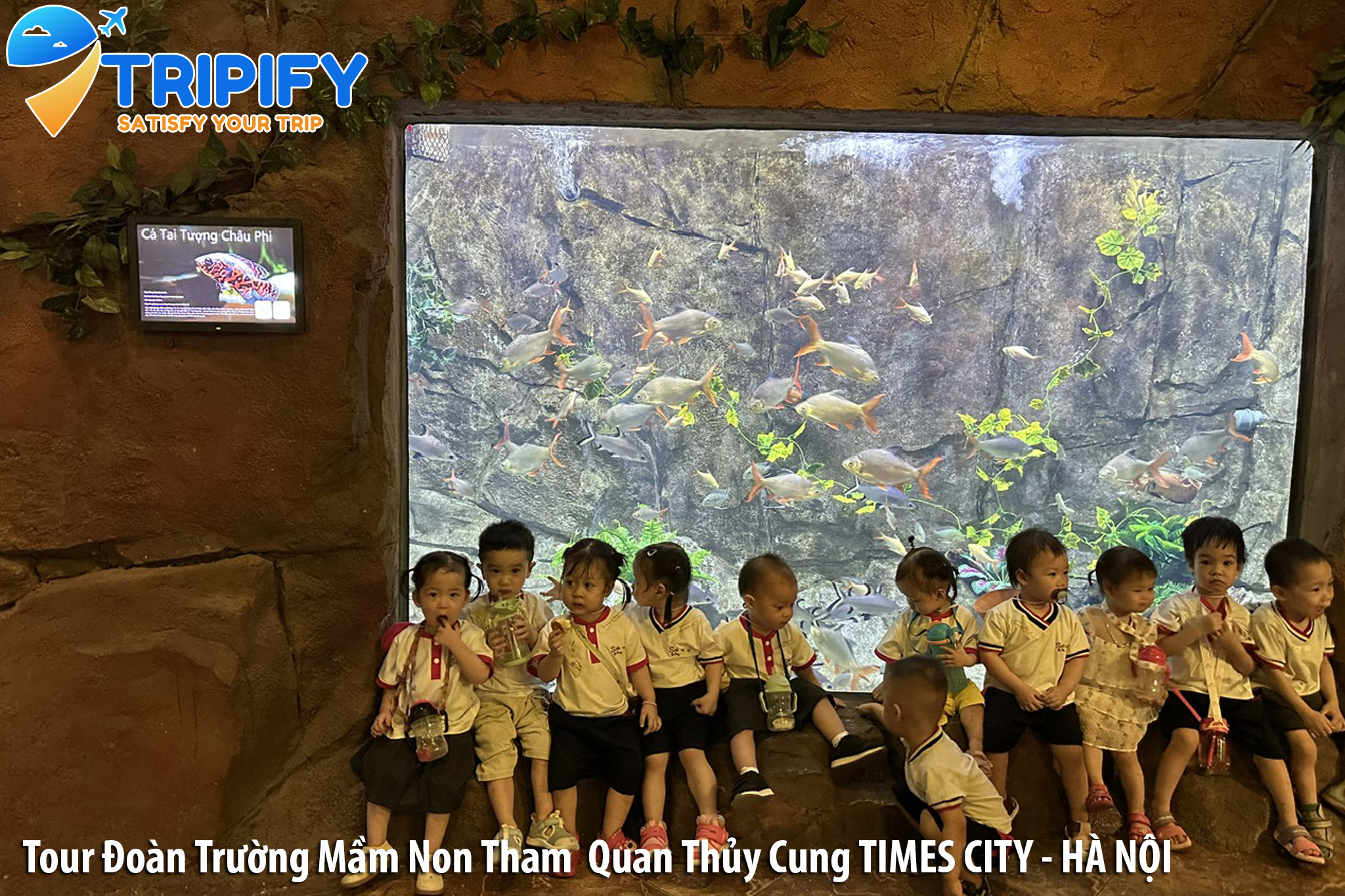Đặt Tour Đoàn Trường Tham Quan Thủy Cung Times City - Vincom Mega Mall